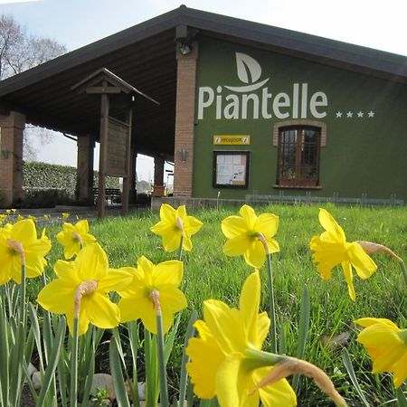Camping Piantelle Moniga del Garda Exterior foto